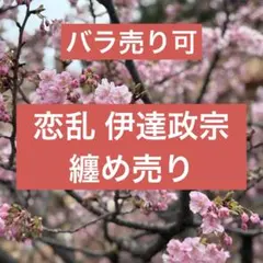 恋乱　天下統一恋の乱　伊達政宗　政宗 ボルフェス　ボルテージ　胸キュン
