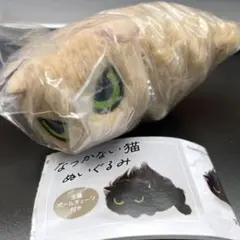 なつかない猫　ぬいぐるみ