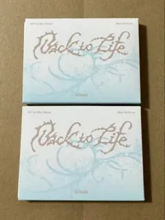 &TEAM Back to Life Mini CD-R ver.