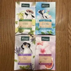 Kneipp バスソルト 4種セット クナイプ お試し 夏 ミントのサムネイル