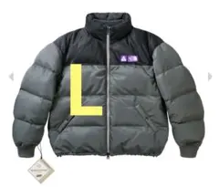PALACExTheNorthFacePurpleLabelDownJacket