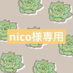 多肉植物♡セダム♡ルビーティント　カット苗