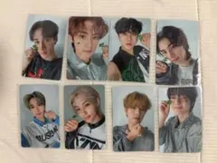 StrayKids SOCIAL PATH 通常盤　トレカ　コンプ　まとめ売り