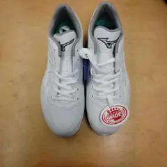 Item thumbnail for item ffefcacc-6054-4f2a-8eee-00a24ebc6f66