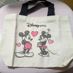 Disney pass ミッキー ミニー バッグ