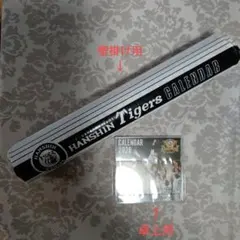 Item thumbnail for item 55952988-a5ee-45e2-a3ff-bf6792984318