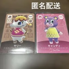 Switch アミーボカード　まとめ売り