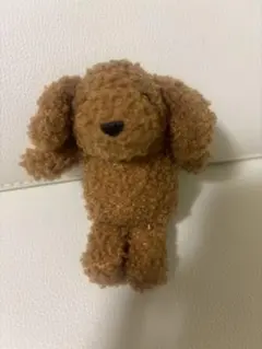 アリソンブラウン ララミチャーム 紗栄子 オトナスウィート付録