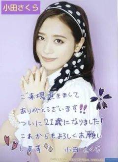 2025年最新】さくらのしらべの人気アイテム - メルカリ