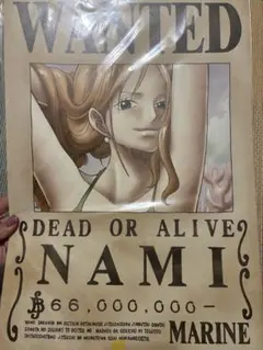ONE PIECE ナミ 海軍発行公式手配書ポスター