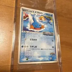 【未開封】ポケパークのミズゴロウ 048/PCG-P PROMO