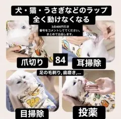 고양이, 개, 토끼, 8,5 kg 미만의 동물