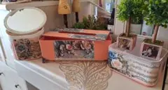587 スタンペリアOrchids and Catsおすそ分け収納ボックス - メルカリ