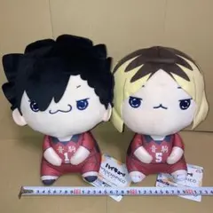 ハイキュー　もちぴこBIG 黒尾鉄朗・孤爪研磨 ぬいぐるみセット 匿名配送