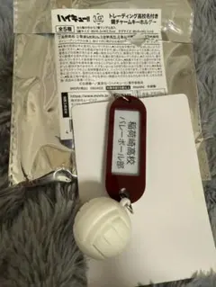 ハイキュー 鍵チャーム 稲荷崎高校