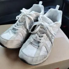 Item thumbnail for item 81cedcca-fac2-4f40-98c3-0adafaf6d94e