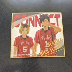 ハイキュー!! ビジュアル色紙コレクション8/孤爪研磨&黒尾鉄朗