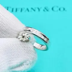 2026年最新】TIFFANY 1837 フープピアスの人気アイテム - メルカリ