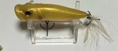 ポップX ￼アルピノ雷魚のサムネイル