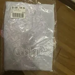 Item thumbnail for item a0f9cd09-c80a-4374-9495-fcdd27279160