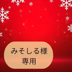みそしる様専用ページです