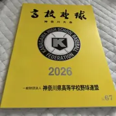 第108回全国高等学校野球選手権神奈川大会　プログラム　パンフレット　難ありのサムネイル