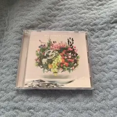 Mrs. GREEN APPLE 「5」