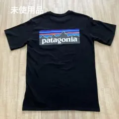 パタゴニア レスポンスビリティー ビッグロゴ 半袖Tシャツ 美品