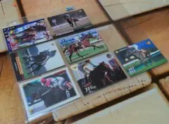 メジロブライト 7枚セット トレーディングカード