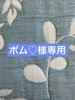 ppバンド