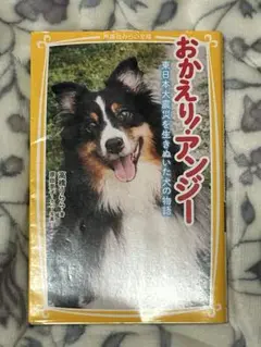 おかえり、アンジー 東日本大震災を生きぬいた犬の物語