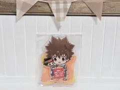 ✽家庭教師ヒットマンREBORN!✽　沢田綱吉・リボーン　ミニアクリルスタンド
