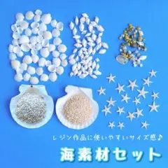 海素材セット　レジン封入　海レジン　工作材料　貝殻　小さい　ミニヒトデ　夏