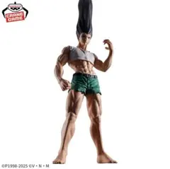 HUNTER×HUNTER フィグライフ　ゴン