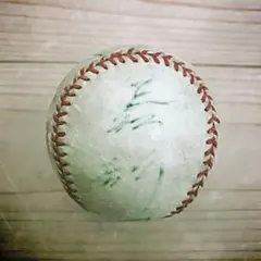 Item thumbnail for item 103adf5f-7fca-41d3-a7d5-e45a755d1d39