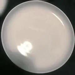 Item thumbnail for item 1cead668-faa1-454d-b341-28c50a736a8b