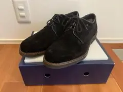 Item thumbnail for item 5c3becab-6a48-497c-8551-dc23a73158f0