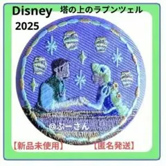 ディズニー 刺繍缶バッジ ラプンツェル