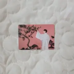 BTS ダルマジュン 2021 ミニフォト テヒョン ㊶