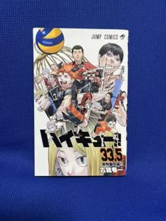 ハイキュー!! 33.5巻 音駒番外編