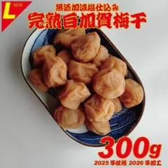 添加物不使用！天日塩の昔ながらのシンプル梅干 300g ちょっと訳ありLサイズのサムネイル
