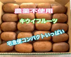 農薬不使用キウイフルーツ宅急便コンパクトいっぱい中粒