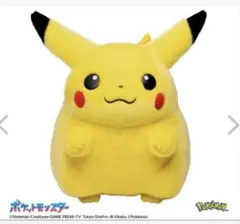 ポケットモンスター ポケモン30周年記念 おかえり！ピカチュウ1/1