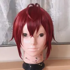 2026年最新】リドル ウィッグの人気アイテム - メルカリ