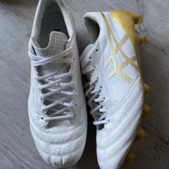 アシックス DS LIGHT X-FLY 4