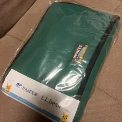 L.L.Bean オリジナル　クッションブランケット 緑　かんぽ生命　新品のサムネイル