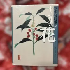 花の名随筆 全巻 - メルカリ