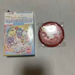 サンリオキャラクターズ キラキラBIG缶バッジ 集合