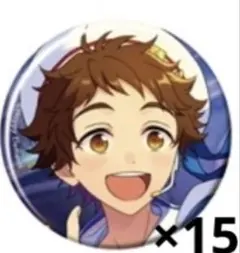 コレ缶バッジ あんスタ 鳴上嵐15個 feb idol - メルカリ