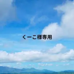 くーこ様専用